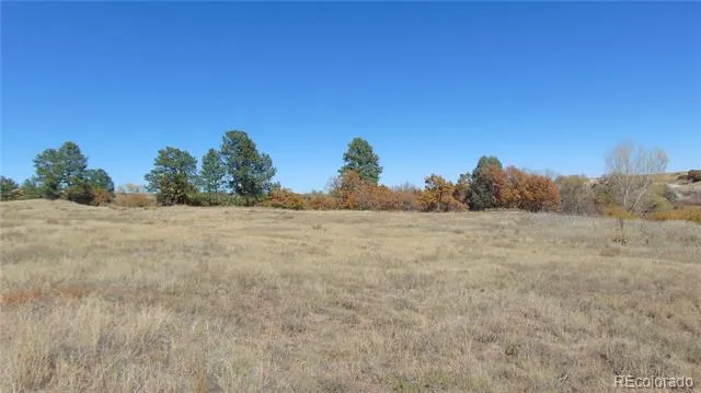 4771 Jackson Creek Road Sedalia, CO 80135