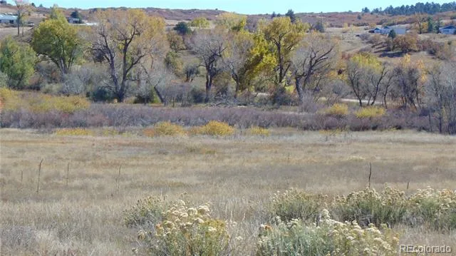 4771 Jackson Creek Road Sedalia, CO 80135