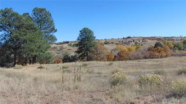 4771 Jackson Creek Road Sedalia, CO 80135