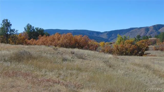 4771 Jackson Creek Road Sedalia, CO 80135