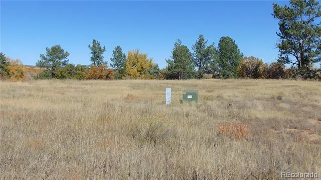 4771 Jackson Creek Road Sedalia, CO 80135