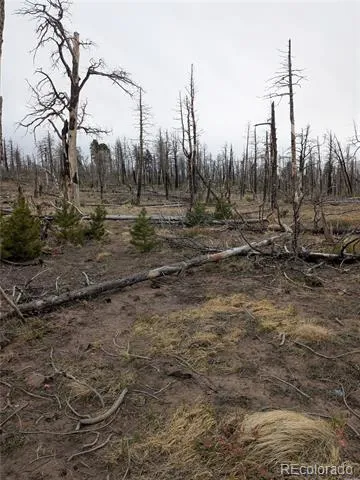 Lot 2296 Wohlstetter Loop Fort Garland, CO 81133