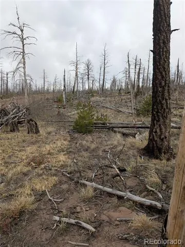 Lot 2296 Wohlstetter Loop Fort Garland, CO 81133