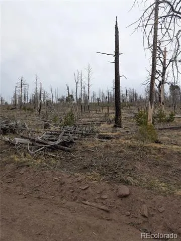 Lot 2296 Wohlstetter Loop Fort Garland, CO 81133