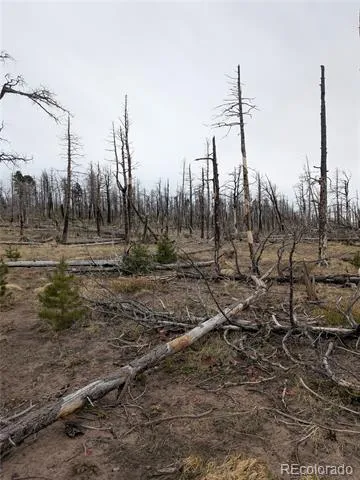 Lot 2296 Wohlstetter Loop Fort Garland, CO 81133
