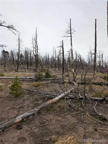 Lot 2296 Wohlstetter Loop Fort Garland, CO 81133