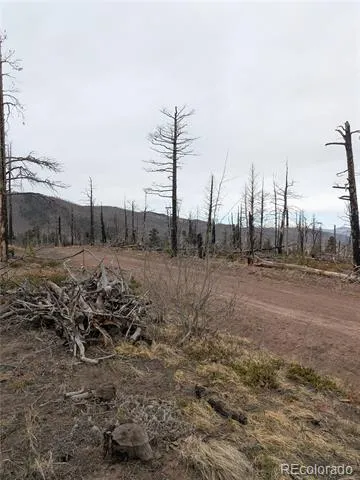 Lot 2296 Wohlstetter Loop Fort Garland, CO 81133