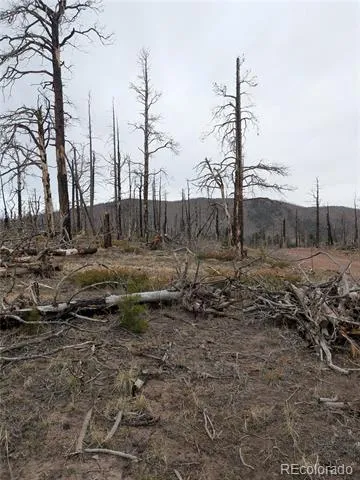 Lot 2296 Wohlstetter Loop Fort Garland, CO 81133