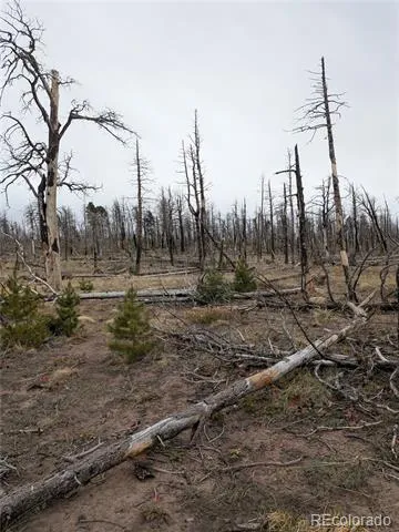 Lot 2296 Wohlstetter Loop Fort Garland, CO 81133