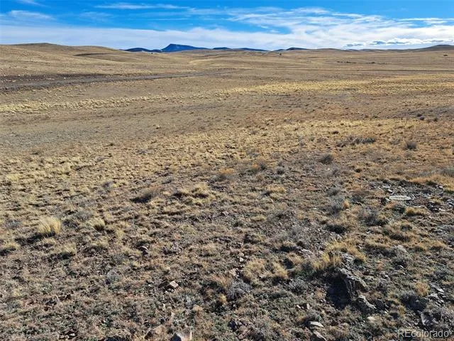 000 Maskoke Trail Hartsel, CO 80449