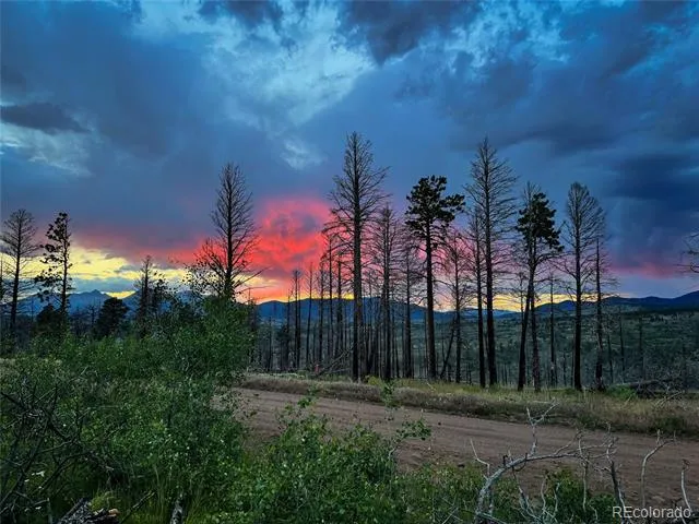 LOT 591 Leslie Loop Fort Garland, CO 81133