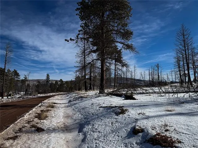 LOT 591 Leslie Loop Fort Garland, CO 81133
