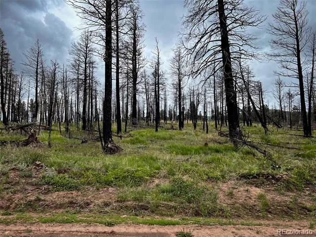 LOT 591 Leslie Loop Fort Garland, CO 81133