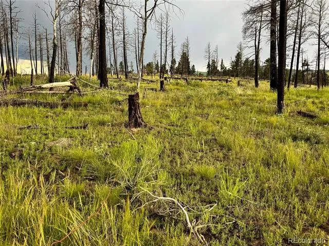 LOT 591 Leslie Loop Fort Garland, CO 81133