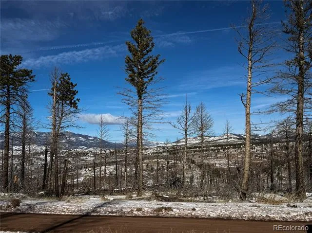 LOT 591 Leslie Loop Fort Garland, CO 81133