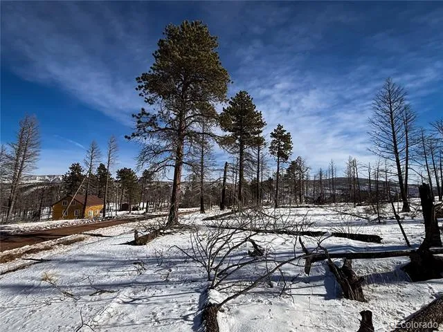 LOT 591 Leslie Loop Fort Garland, CO 81133