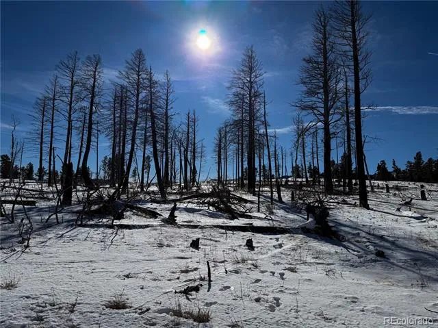 LOT 591 Leslie Loop Fort Garland, CO 81133