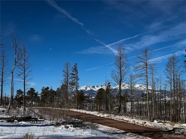 LOT 591 Leslie Loop Fort Garland, CO 81133