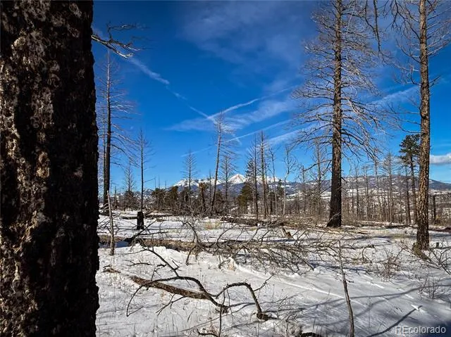 LOT 591 Leslie Loop Fort Garland, CO 81133