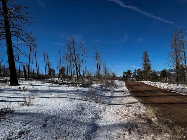 LOT 591 Leslie Loop Fort Garland, CO 81133