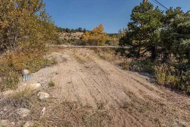 17380 Willow Tree Drive Salida, CO 81201