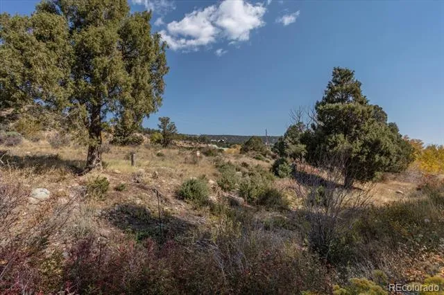 17380 Willow Tree Drive Salida, CO 81201