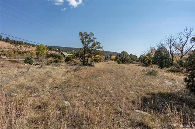 17380 Willow Tree Drive Salida, CO 81201