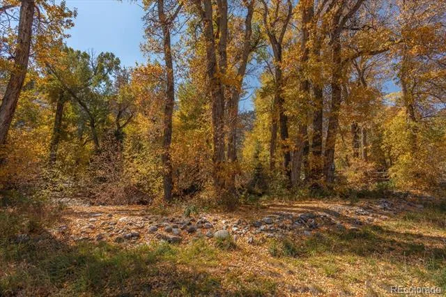 17380 Willow Tree Drive Salida, CO 81201
