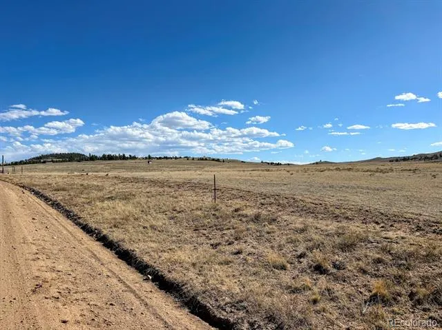 0000 Chickasaw Road Hartsel, CO 80449