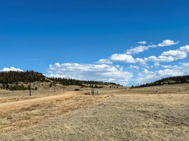 0000 Chickasaw Road Hartsel, CO 80449
