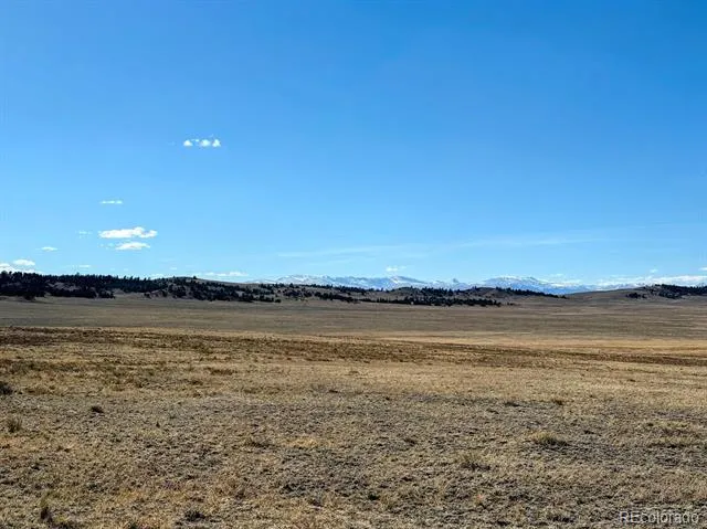 0000 Chickasaw Road Hartsel, CO 80449