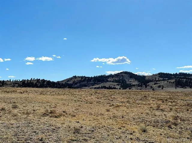 0000 Chickasaw Road Hartsel, CO 80449