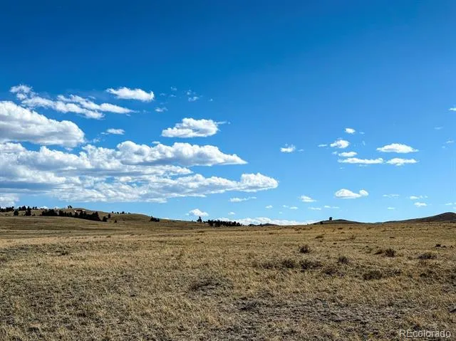 0000 Chickasaw Road Hartsel, CO 80449