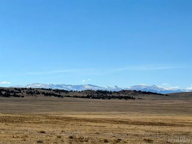 0000 Chickasaw Road Hartsel, CO 80449