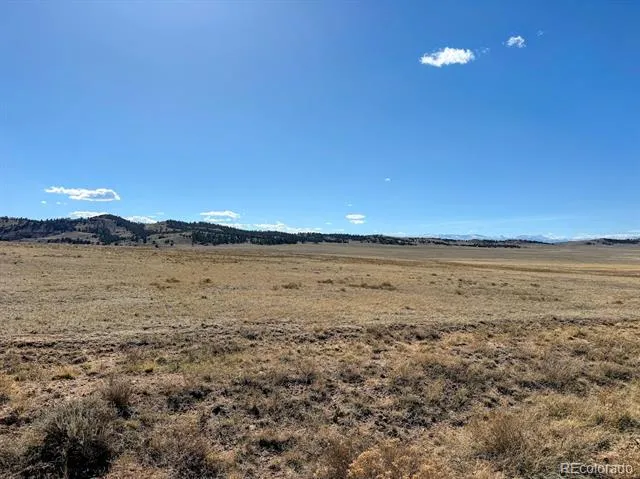 0000 Chickasaw Road Hartsel, CO 80449