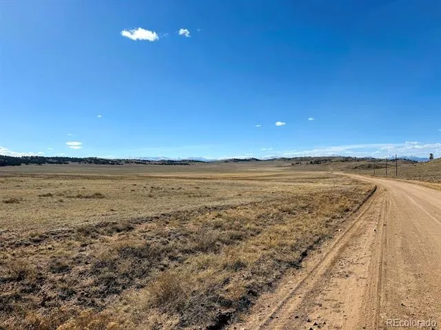 0000 Chickasaw Road Hartsel, CO 80449