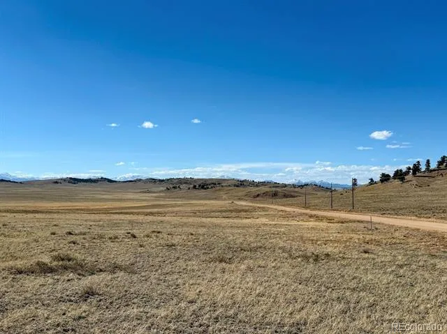 0000 Chickasaw Road Hartsel, CO 80449