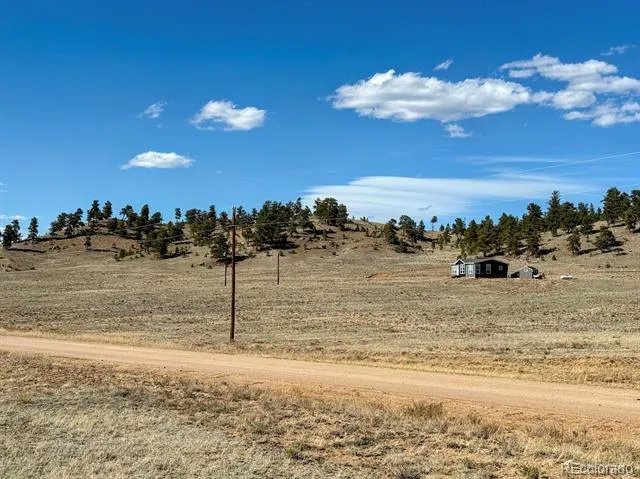 0000 Chickasaw Road Hartsel, CO 80449