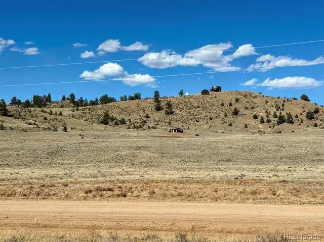 0000 Chickasaw Road Hartsel, CO 80449