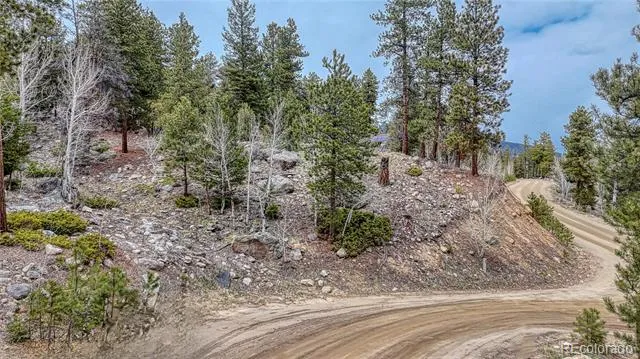 30176 Mountaintop Drive Buena Vista, CO 81211