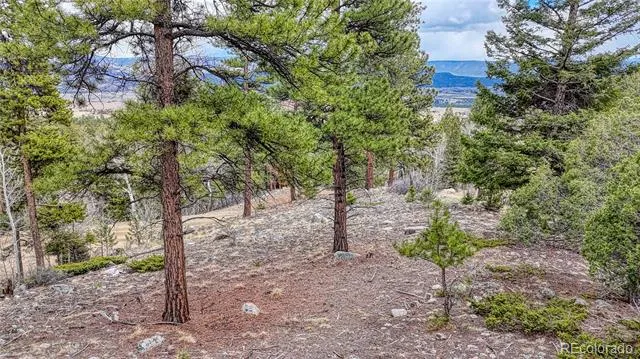 30176 Mountaintop Drive Buena Vista, CO 81211