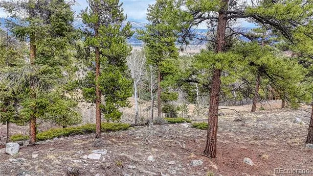 30176 Mountaintop Drive Buena Vista, CO 81211