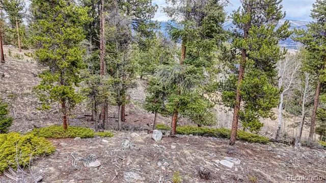 30176 Mountaintop Drive Buena Vista, CO 81211