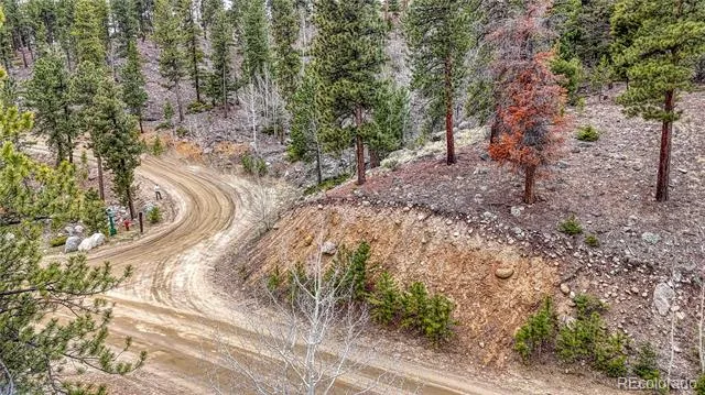 30176 Mountaintop Drive Buena Vista, CO 81211