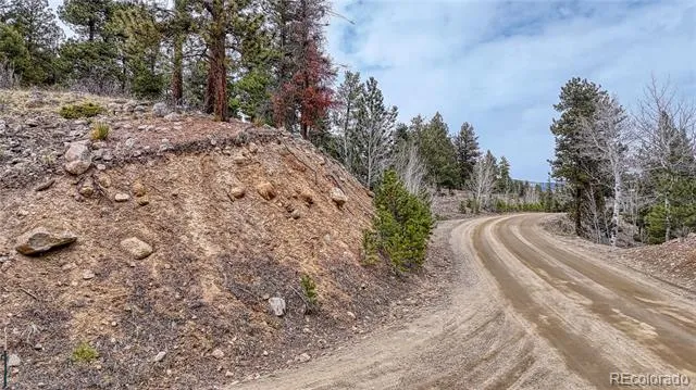 30176 Mountaintop Drive Buena Vista, CO 81211