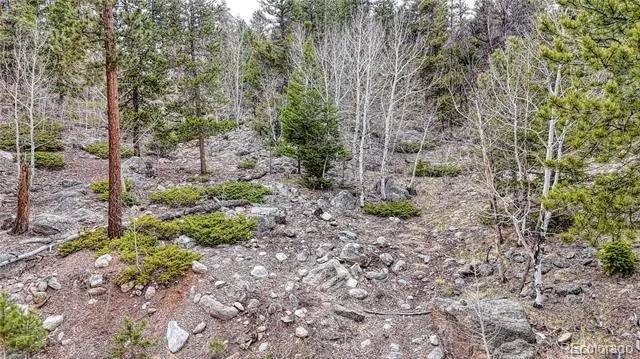 30176 Mountaintop Drive Buena Vista, CO 81211