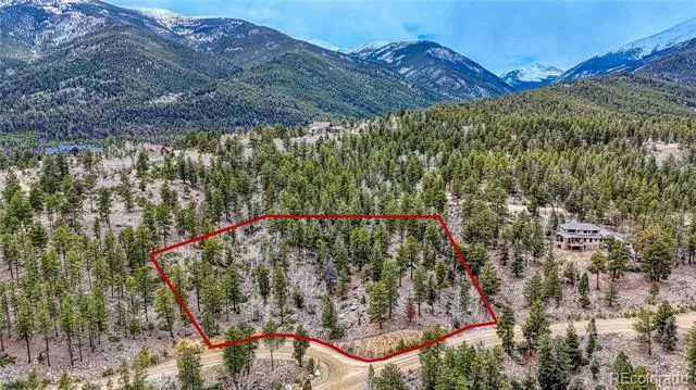 30176 Mountaintop Drive Buena Vista, CO 81211