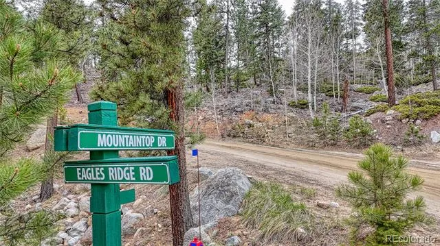30176 Mountaintop Drive Buena Vista, CO 81211