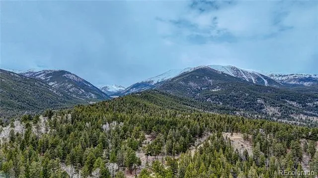 30176 Mountaintop Drive Buena Vista, CO 81211