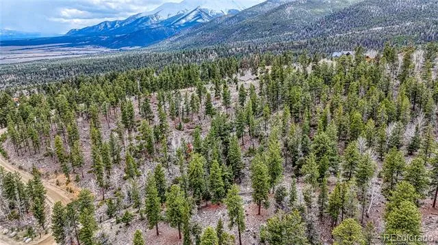 30176 Mountaintop Drive Buena Vista, CO 81211